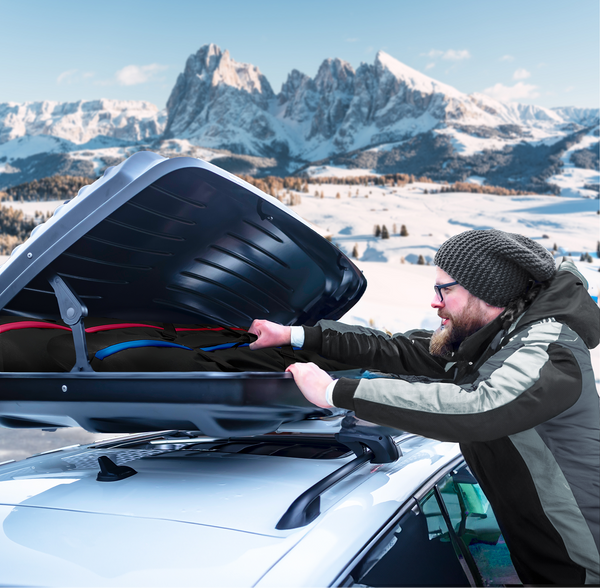 Snowboardtasche | WHISTLER